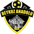 Beykoz Anadoluspor arması
