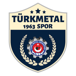 Türk Metal 1963 arması