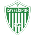 Çayelispor arması